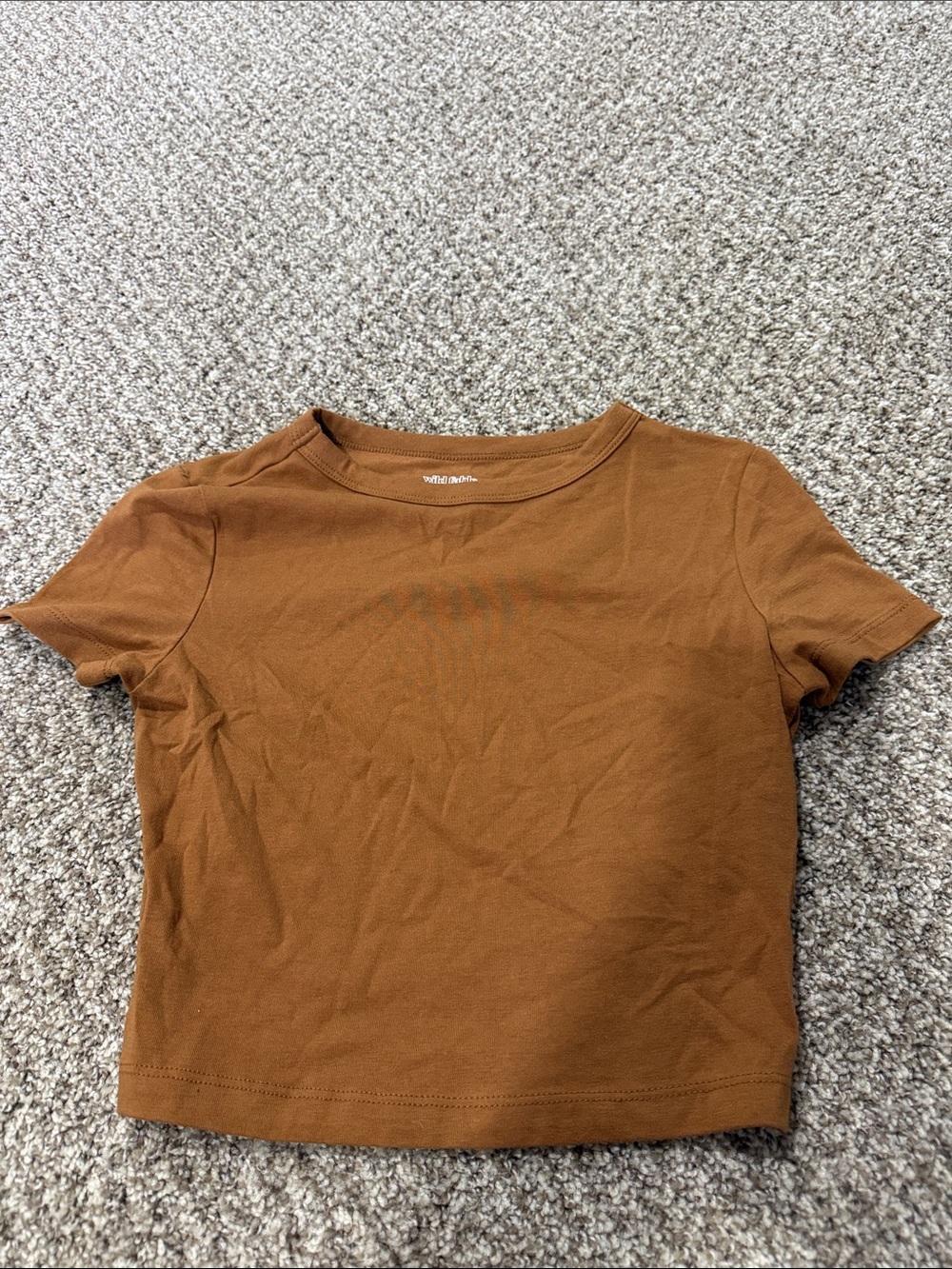 wild fable Brown Cropped Crewneck Tee